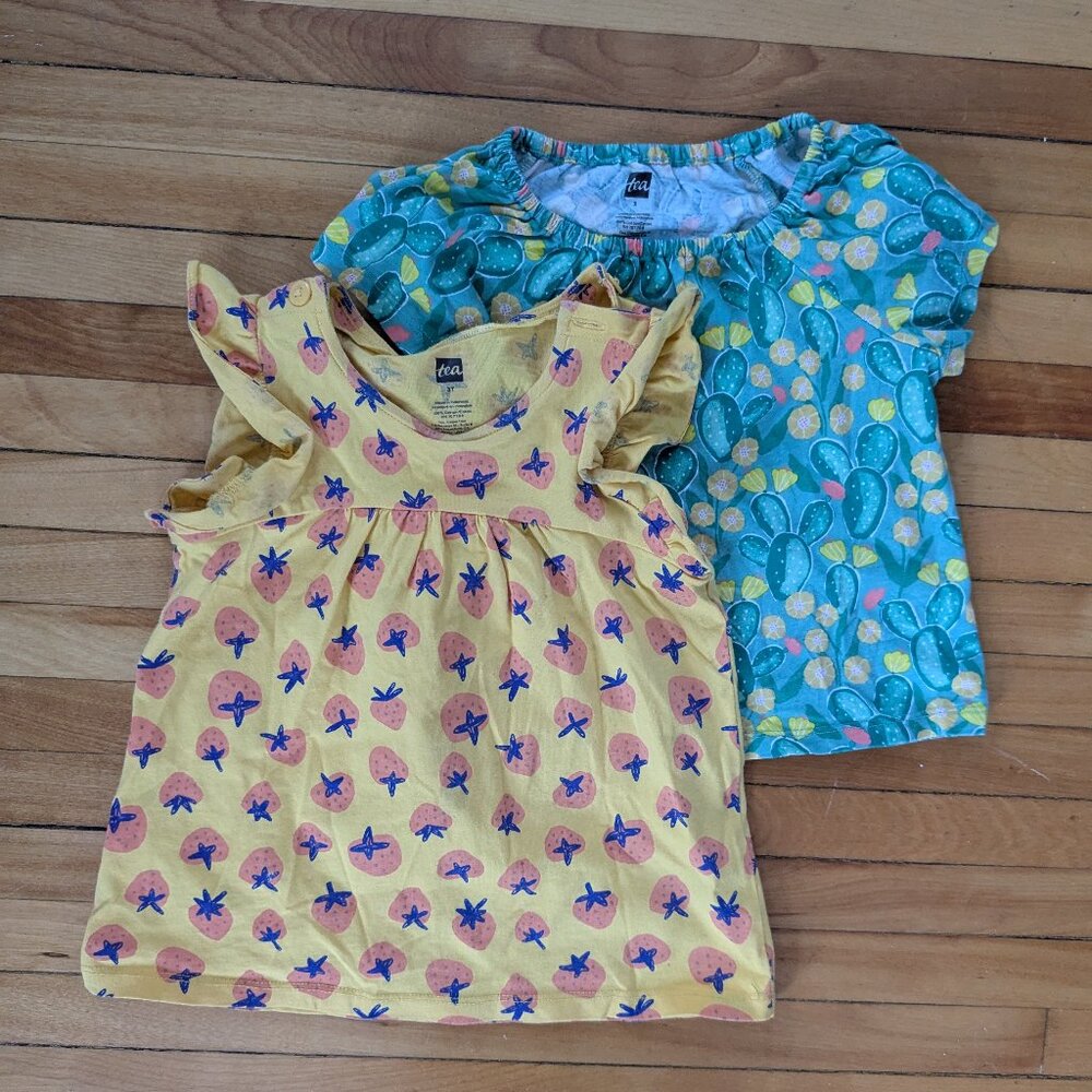 Tea collection pair of summer tops 3T